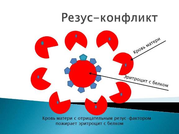 Механизм резус-конфликта