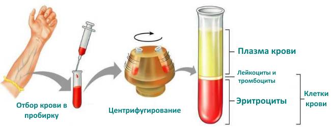 Способ определения гематокрита