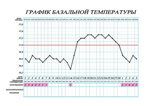 Базальная температура после зачатия Базальная температура - что это