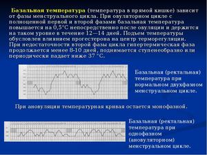 Методы обследования гинекологических больных. Базальная температура - температура в прямой кишке
