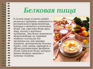 Белковая диета