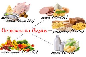 Белковая диета Дюкана