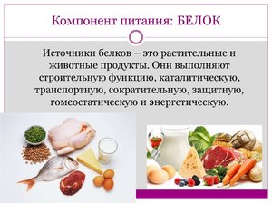 Белковая пища: список продуктов