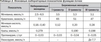 Таблица с нормами белка в моче при беременности