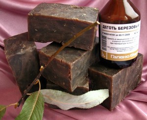 Березовая кора