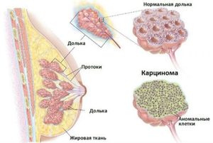 Диагностические мероприятия