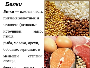 Диета Дюкана для похудения
