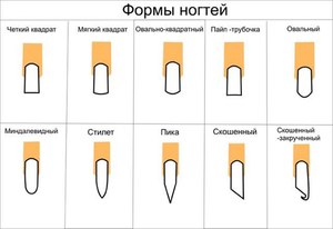 Как правильно точить ногти Форма и длина ногтей