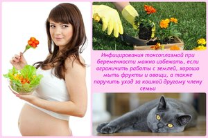 Виды форм Токсоплазмоза Формы Токсоплазмоза