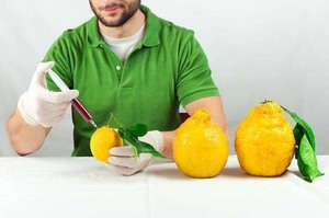 Генетически модифицированная пища, что это