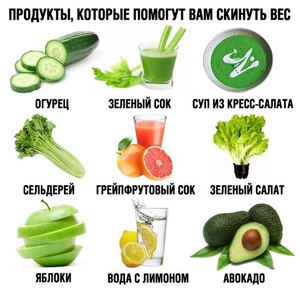 Главные правила