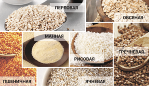 какие бывают каши
