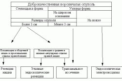 Алгоритм лечения рака прямой кишки Алгоритм лечения рака прямой кишки