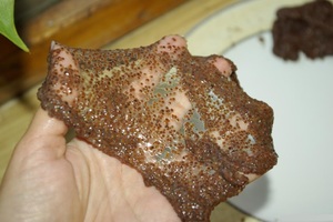 Маска из семян морских водорослей
