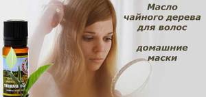 Масло чайного дерева от перхоти