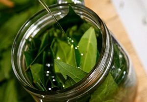 Масло с лавровым листом для суставов Масло с лавровым листом