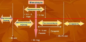 Механизм прохождения