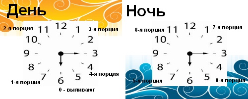 График сбора суточной мочи