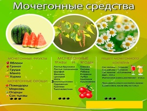 Мочегонные сборы трав Мочегонные сборы в аптеке