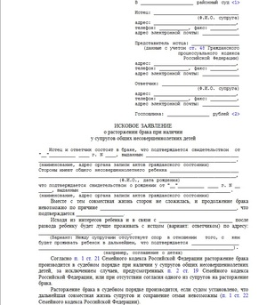 Этапы бракоразводного процесса При наличии несовершеннолетних детей
