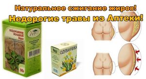 Травы для сжигания жира Недорогие аптечные средства для похудания