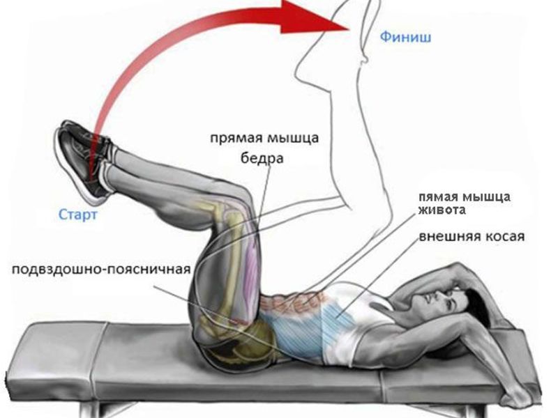 Как делать обратные скручивания Обратные скручивания для пресса