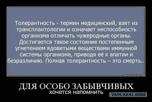 Онлайн-переписка с парнем Онлайн-переписка