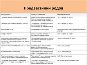 Как определить настоящие схватки Определение родовых схваток
