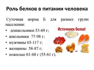 Что относится к белковой пище
