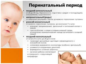 Перинатальный период: беременность Перинатальный период