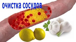 Пища для очистки сосудов
