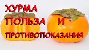 Полезные свойства и противопоказания хурмы