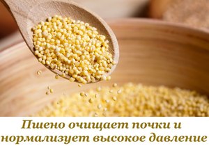 Полезные свойства и состав пшенки
