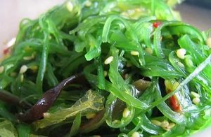 полезные свойства водоросли фукус