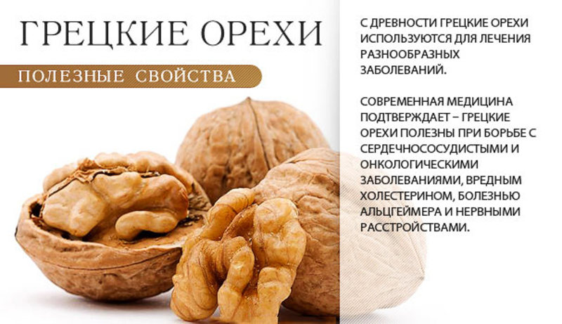 Польза и вред грецкого ореха