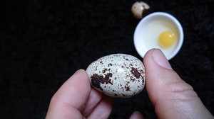 Польза и вред перепелиных яиц