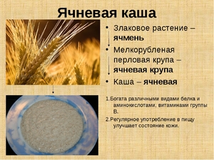 Польза ячневой каши