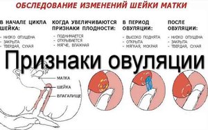 Угроза выкидыша Как понять причину выделения