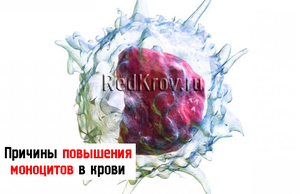 Что значит повышенное количество лейкоцитов Повышенное количество лейкоцитов