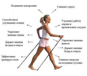 Подготовка к скандинавской ходьбе Как правильно ходить