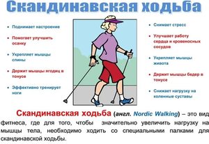 Показания к скандинавской ходьбе Как правильно ходить