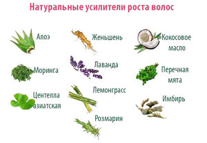 В каких продуктах питания содержатся витамины Как правильно питаться