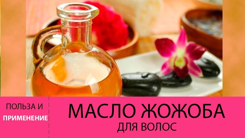 Применение масла жожоба для волос