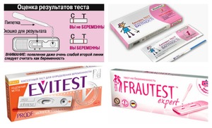 Работают все экспресс-тексты по одному принципу Принцип действия тестов на беременность