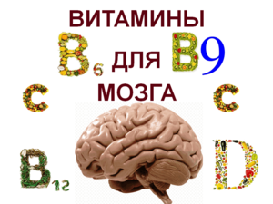 Как принимать витамины для мозга