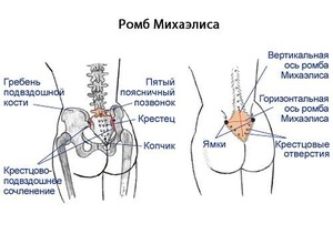 Что собой представляет массаж матки Процедура массажа матки