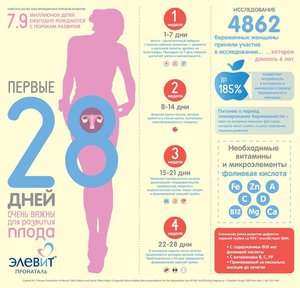 Позы для зачатия Как происходит зачатие