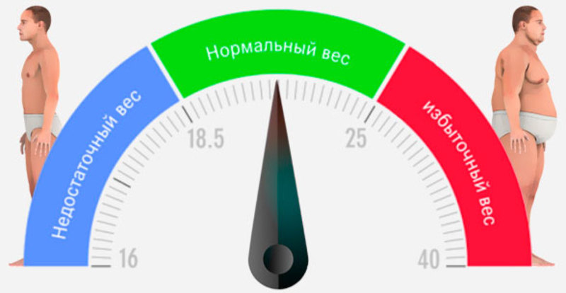 Как рассчитать имт