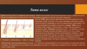 Пряди жирных волос Как растут волосы