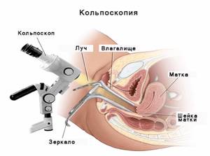 Результаты обследования